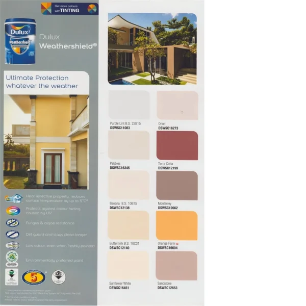 18L Dulux Weathershield Exterior Wall (Color Option)